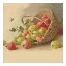 Vintage Stachelbeeren