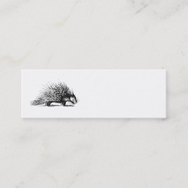 Vintage Stachelschwein-Illustration - Mini Visitenkarte (Vorderseite)