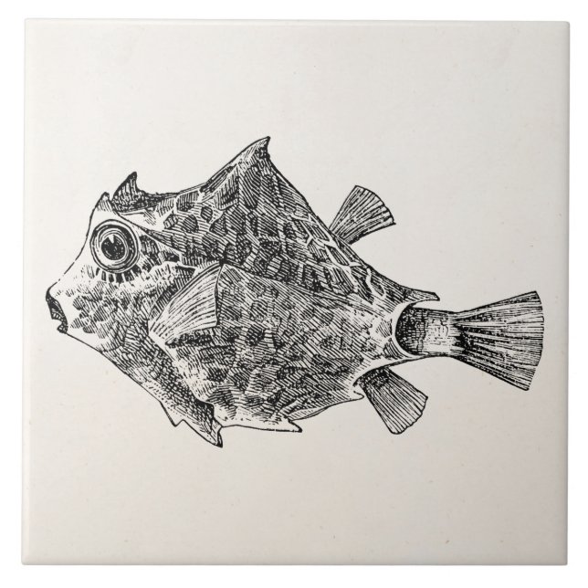 Vintage Stamm-Fische - Fliese (Vorderseite)