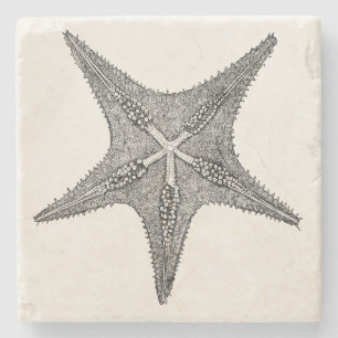 Vintage Starfish-Antiken-Stern-Fisch-Schablone Steinuntersetzer