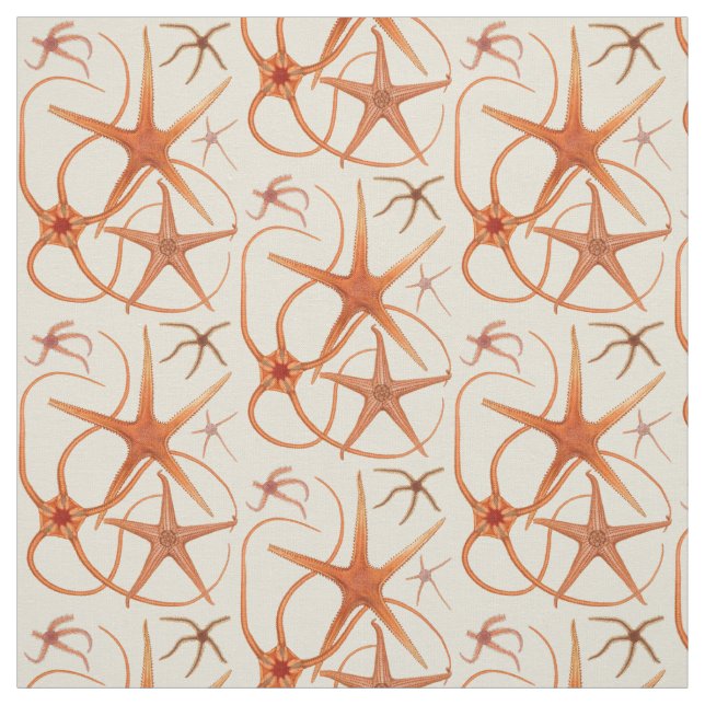 Vintage Starfish-Illustration Stoff (Muster)