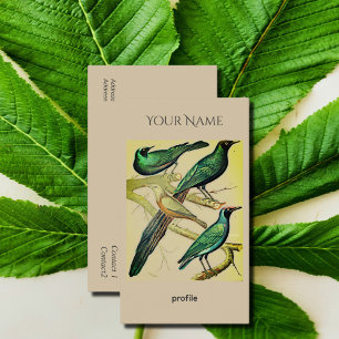 Vintage Starlings und Mynah-Vögel Kraft Visitenkarte