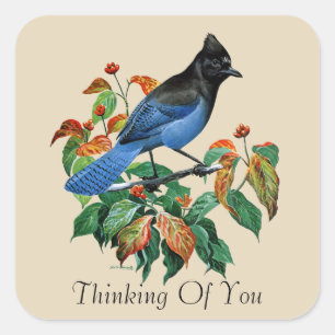 Vintage Steller-Jay-Vogel Ich-denke-an-dich-Aufkle Quadratischer Aufkleber