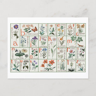 Vintage Stickmustertücher   WILDBLUMEN Postkarte