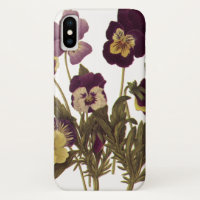 Vintage Stiefmütterchen im Blumengarten Blume