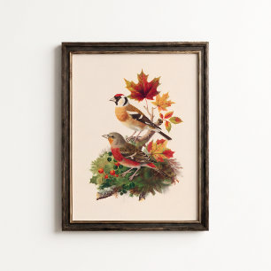 Vintage Stieglitz-Hänfling-Vogel-Wandkunstposter Poster