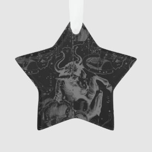 Vintage Stier-Konstellation durch Hevelius Ornament