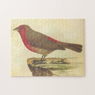 Vintage-Stil, Vogel auf einem Sims Puzzle
