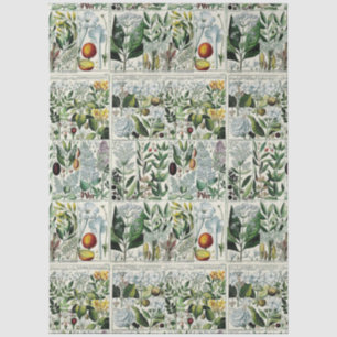 Vintage stilisierte Blumen botanische Buchtafel #2 Seidenpapier