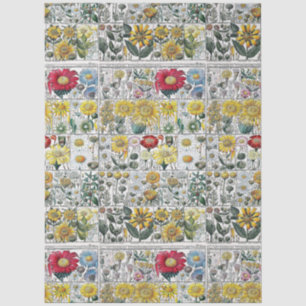 Vintage stilisierte Blumen botanische Buchtafel #5 Seidenpapier