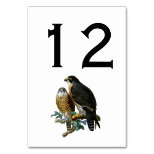 Vintage stilisierte Falken auf Zweig Tischnummer