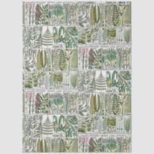 Vintage Stilisierte Ferns Botanische Buchplatte #6 Seidenpapier