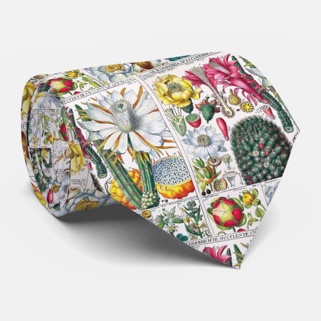 Vintage stilisierte Kaktus Botanische Buchplatte # Krawatte (Gerollt)