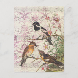 Vintage Stilvögel auf Branchen und Musik Postkarte