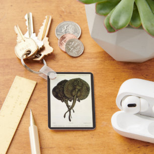 Vintage Stingrochen, Meerestiere Schlüsselanhänger