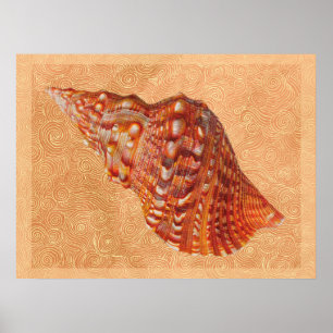 Vintage-Strand-Muschel Poster