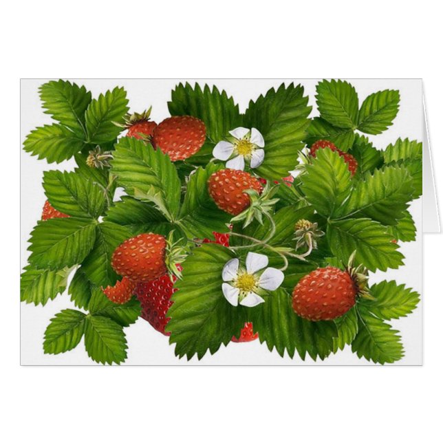 Vintage Strawberry (Vorderseite (Horizontal))