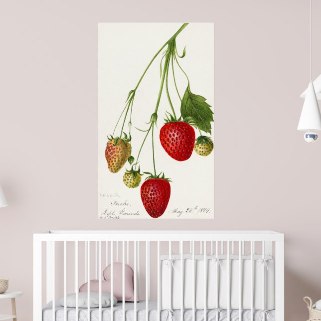 Vintage Strawberry-Illustration Poster (Kinderzimmer 2)