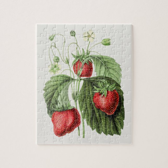 Vintage Strawberry-Illustration Puzzle (Vertikal)