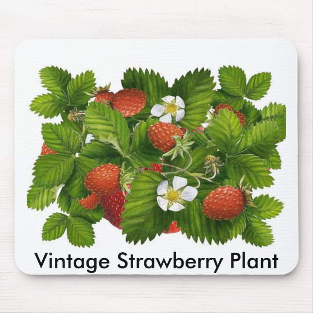 Vintage Strawberry Mousepad (Vorne)