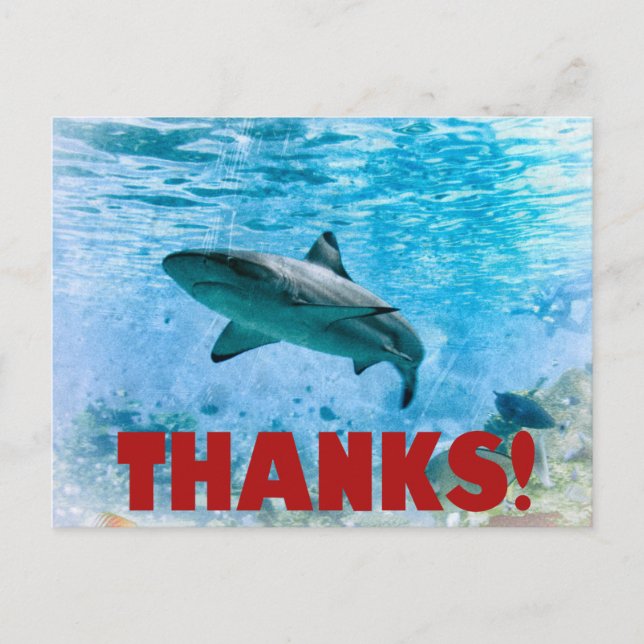 Vintage Stripe Shark Danke Postcard Postkarte (Vorderseite)