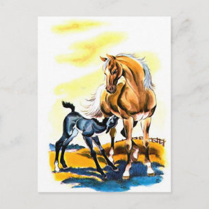 Vintage Stute Fohlen Pferd Reitsport Postkarte