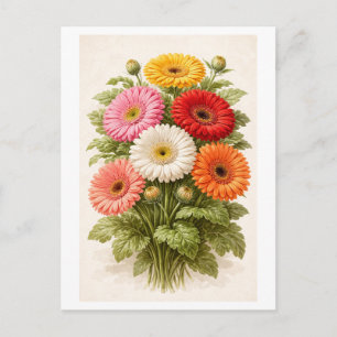 Vintage-Style Gerber-Gänseblümchen-Strauß-Zeichnun Postkarte