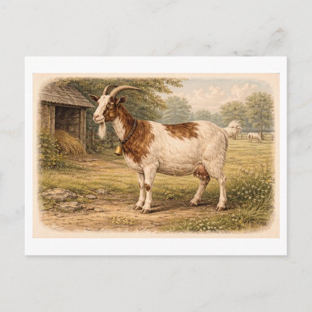 Vintage-Style Goat lllustration Postkarte (Vorderseite)