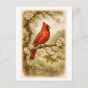 Vintage-Style Illustration eines männlichen Kardin Postkarte