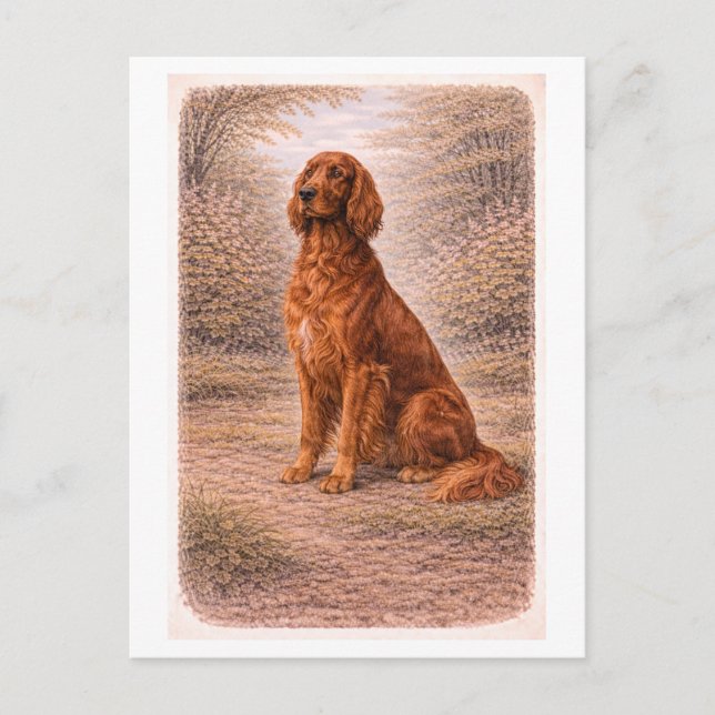 Vintage-Style Irish Setter Postkarte (Vorderseite)