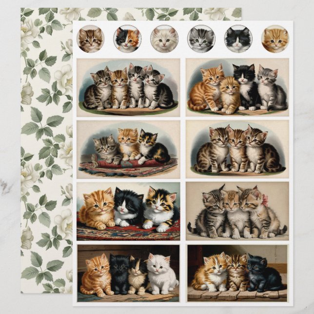 Vintage Style Kätzchen Ephemera Fussy Cuts (Vorne/Hinten)