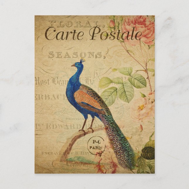 Vintage Style Peacock French Postkarte (Vorderseite)