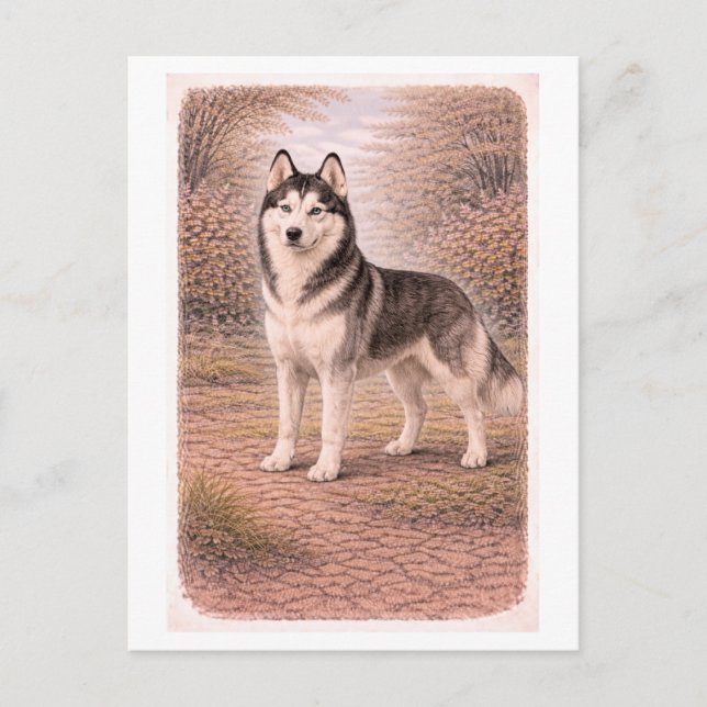 Vintage-Style Sibirischer Husky Postkarte (Vorderseite)