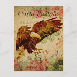 Vintage Style Weißkopfseeadler Französische Carte Postkarte