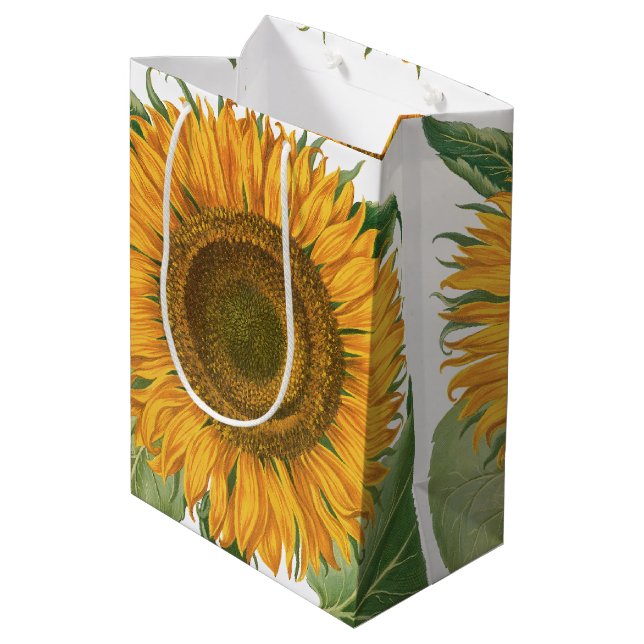 Vintage Sunflower Flower by Basilius Besler Mittlere Geschenktüte (Rückseite Schrägansicht)
