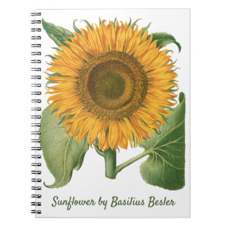 Vintage Sunflower Flower by Basilius Besler Notizblock