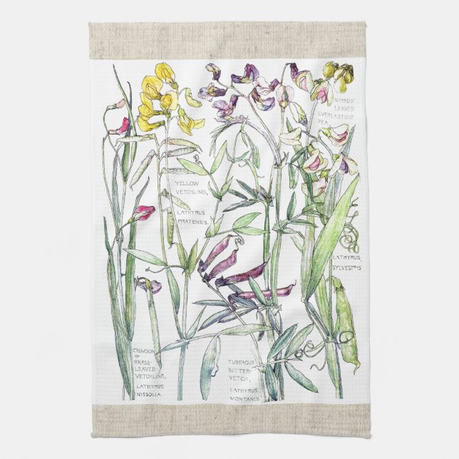 Vintage süße Erbsen-Wicke-Blumen-Küchen-Tücher Handtuch (Vertikal)