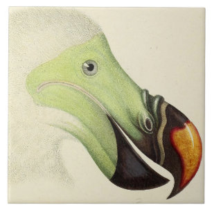 Vintage süßer Dodo-Vogelkopf Fliese