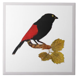 Vintage Süßer Roter Heller Farbiger Vogel und Laub Fliese