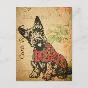 Vintage Süßer Schottischer Terrier Hund Floral Fra Postkarte