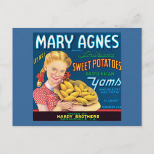 Vintage Süßkartoffeln Lebensmittel-Label Postkarte
