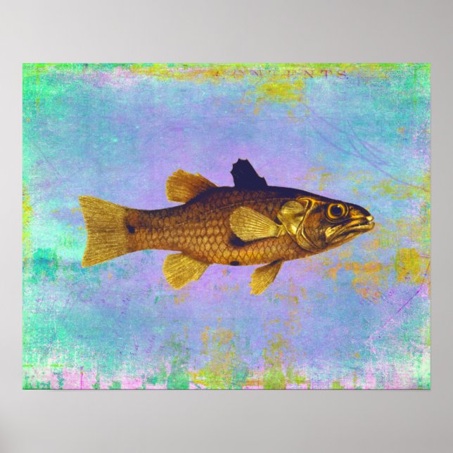 Vintage Süßwasserfischerei Poster (Vorne)