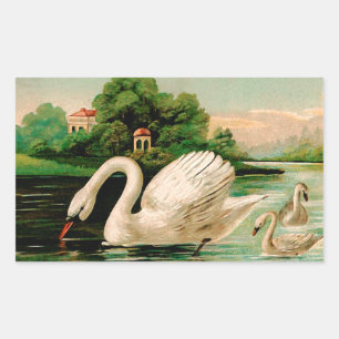 Vintage Swan im Lake Rechteckiger Aufkleber