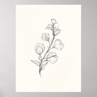 Vintage Sweetpea Print Poster