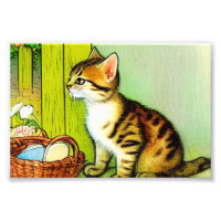 Vintage Tabby Cat Illustration