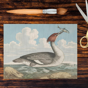 Vintage Tafelente Gänsesäger Fauna Teller Seidenpapier