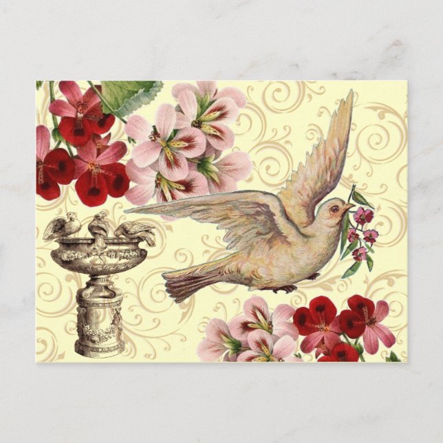 Vintage Taube und Birdbad Postkarte (Vorderseite)