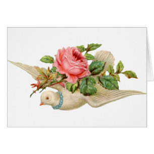 Vintage Taube und Rose