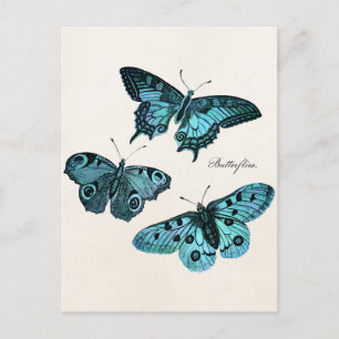 Vintage Teal Blau Schmetterling Illustration Vorla Postkarte