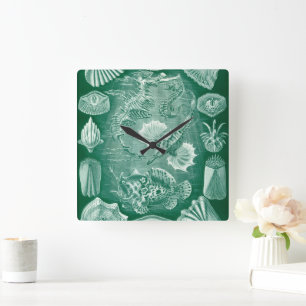 Vintage Teleostei-Schalen und Fische von Ernst Hae Quadratische Wanduhr